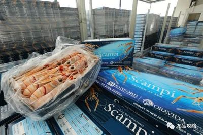 桑福德劍指利潤倍增，中國市場能否成為關(guān)鍵增長引擎？