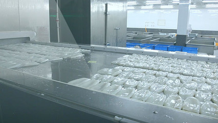 海產品加工 從海洋到餐桌，主圖素材的藝術與科學