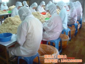 蝦皮姐姐貨源探秘 越秀區富華海產品加工廠批發銷售全攻略