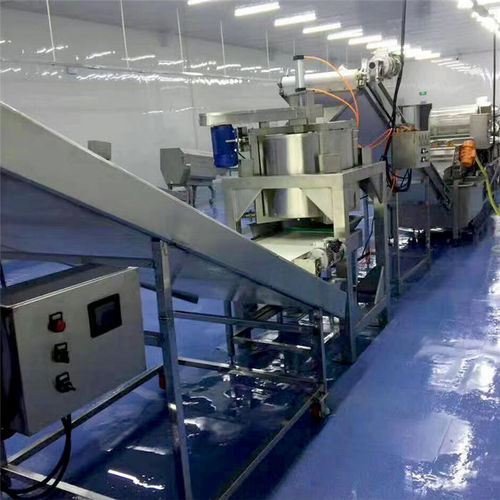 海產品氣泡翻滾式清洗機廠家多重優惠，品質保障，長期有效